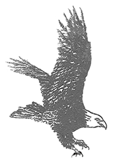 Scout Eagle